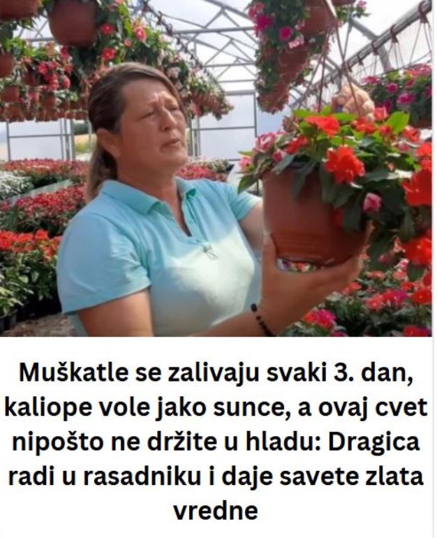 Muškatle