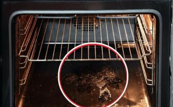 Stavite ovo rernu i za 30 minuta će – bez ribanja – biti kao nova: Trik sa samo jednim sastojkom koji vredi probati