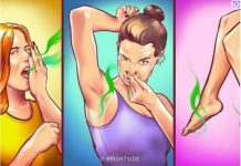 VAŠE TIJELO SMRDI JER NE JEDETE OVIH 8 NAMIRNICA: Ako ovo budete jeli, MIRISAT ĆETE KAO RUŽA