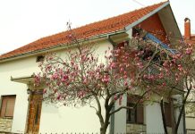 Sebična svekrva oterala sina i snaju sa decom iz porodične kuće, pa glumila žrtvu: Ovo je bila kap koja je prelila čašu