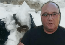 Zmije ispuzale usred zime! Vjeruje se da OVO nije dobar znak, a poznati zmijolovac upozorava – Dobro obratite pažnju na ovo!