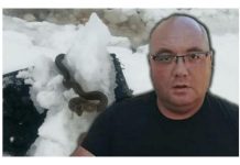 Zmije ispuzale usred zime! Narod vjeruje da ovo nije dobar znak, a poznati zmijolovac upozorava – Dobro obratite pažnju (Foto)