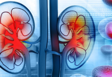 KADA SA BUBREZIMA NEŠTO NIJE U REDU, TELO ŠALJE OVE SIGNALE: 6 simptoma koje ne smete ignorisati!