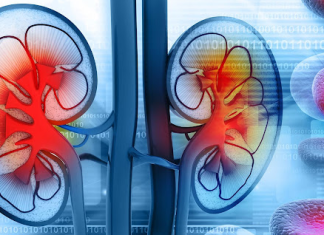 KADA SA BUBREZIMA NEŠTO NIJE U REDU, TELO ŠALJE OVE SIGNALE: 6 simptoma koje ne smete ignorisati!