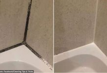 KAMENAC I PRLJAVŠTINA U PUKOTINAMA BUKVALNO SU NESTALI PRED NAŠIM OČIMA: Kućni trik kojim sam očistila kupatilo staro 20 godina u TOP stanju!