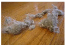 PRAŠINA U STANU ME NERVIRALA, A ONDA MI JE SVEKRVA DALA ODLIČAN RECEPT: Sad Čistim Kuću Trostruko Rjeđe, A SVE BLISTA