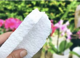 Nikada ne bacajte ostatke stiropora! Njegova vrijednost je jednaka težini zlata!