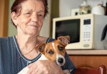 Ušteđevinu ostavljam psima, deca su me za srce ujela: Život sam im dala, sad kad su stabilni, odbacili su me kao otirač