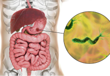 Ova bakterija je najveći neprijatelj želuca: Lako se zarazite, a posledice mogu biti opasne – obratite pažnju na 1 stvar