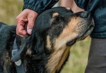 U prisustvu loše osobe svaki pas uradi jednu stvar: Zapamtite dobro ovu reakciju(FOTO)