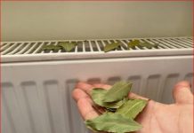 Moja baka stavlja lovorov list na radijator u spavaćoj sobi: Otkloniće ovaj PROBLEM u vašem domu!