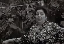 Muškarci širom Jugoslavije se razvodili da bi bili sa njom: 1 tragedija joj uništila život preko noći, a skončala je sama u staračkom domu