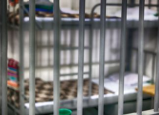 Žena otkrila kako izgleda njen jedan dan u zatvoru i komentari su je šokirali: Ljudi kažu da živi kao u hotelu, a ona…