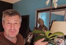 Jedan od naših najboljih baštovana Dejan Dragićević, otkriva kako se pravilno zalivaju orhideje: Kako bi vam što duže trajale, ova tehnika je pun pogodak