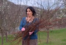 Najbolji način da iskoristite granje od orezivanja loze ili drveća: Nema paljenja ili seckanja, sasvim prirodno rešenje