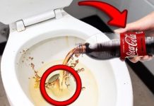 Sipajte u toalet i sačekajte 15 minuta: Domaći trik koji bi SVI trebali znati!