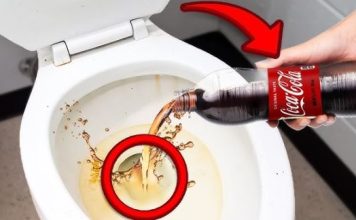 Sipajte u toalet i sačekajte 15 minuta: Domaći trik koji bi SVI trebali znati!