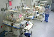 Samo nekoliko minuta pre porođaja su mi rekli da nosim devet beba: Decu sam viđala dva puta dnevno po pola sata, a muž ih je video prvi put posle 2 meseca