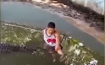 Ušao u bazen sa krokodilom, misleći da je u pitanju statua: Hteo da uradi fotku, pa se desila jeziva stvar koju nije ni slutio