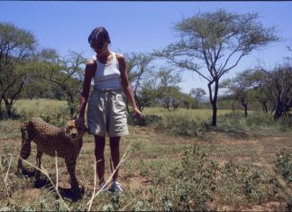 Dok su mnogi gledali u raskošan život, nisu videli kakva se tuga krije iza kulisa: Majku i muža izgubila na isti način, nesrećnije princeze nije bilo