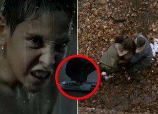 Ispovest vaspitača dečaka iz Bosne kog su odgajili vukovi: Hodao četvoronoške, doživeo užasan kraj, a 1 stvar je ostala večna misterija