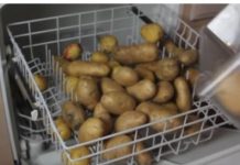 Ubacio krompir u masinu za pranje sudja a kada vidite razlog sokirat ce te se! SVI CE TE TO RADITI REDOVNO (VIDEO)