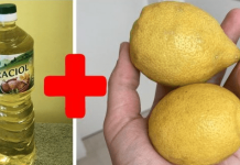 Svekrva mi je savjetovala da pomiješam limun sa običnim uljem: To je savršen kućni TRIK, koristim ga svaki dan!