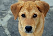 Svaki pas uradi 1 stvar kada mu priđe loša osoba: Ovu reakciju dobro zapamtite