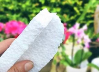 NIKADA ne bacajte ostatke stiropora! Vrijedi zlata!