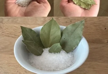 MOJA BAKA JE UVIJEK STAVLJALA L0V0R0V LIST U SO 🧂🍃 Kad sam saznala zašto, 0stala sam bez riječi – nikad nisam vidjela ništa slično