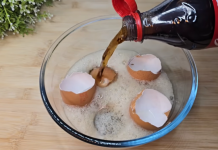 Uzmite ljuske od jaja, običnu K0LU i sačuvajte 0vaj domaći trik: Koristim ga godinama i preporučujem svima