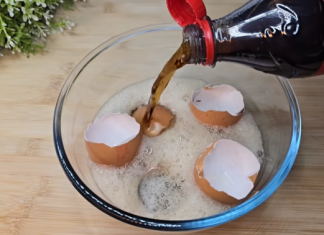 Uzmite ljuske od jaja, običnu K0LU i sačuvajte 0vaj domaći trik: Koristim ga godinama i preporučujem svima