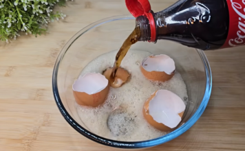 Uzmite ljuske od jaja, običnu K0LU i sačuvajte 0vaj domaći trik: Koristim ga godinama i preporučujem svima