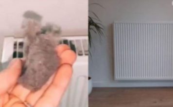 EVO KAKO DA OČISTITE RADIJATORE ZA MINUTU: Bolju foru niste vidjeli, kako se niko ranije nije sjetio ovoga?!