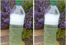 Sredstvo za ubijanje korova za par centi – očistilo je beton, terasu i cijelu baštu: ISPROBANO I NAJJAČE, NE MOGU GA ODLOŽITI!