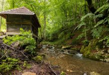 U selu kod Velikog Gradišta, nastala je jedina srpska reč koja se koristi u celom svetu: Priča iza nje je jeziva