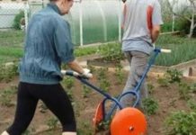 Svekrva nas je pozvala na vikendicu da sredimo. Noću sam čula njen razgovor sa zaovicom. Ujutro sam to ispričala mužu, a on mi je rekao da odemo odatle.