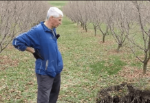 “ČUDO NEVIĐENO” U GORNJEM VAKUFU O KOJEM PRIČA REGIJA: “Kao da stižu posljednji dani” (VIDEO)