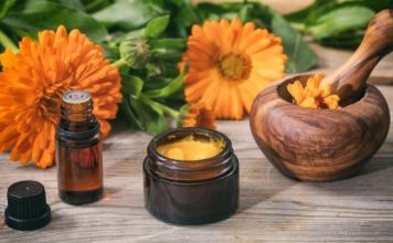 Čudesni narandžasti cvet briše bore i akne: Zaboravite skupe i izvikane kozmetičke preparate, spas je u vrtu