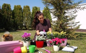 Seka Aleksić živi u velelepnom zdanju nalik na dvorac sa bazenom i okruženom visokim zidinama: A u njenom komšiluku dogodio se jezivi zločin