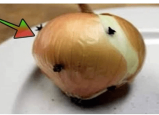 Zabio sam karanfilić u luk: Zahvaljujući tome, cijelo ljeto nemam problema ni sa jednim insektom!