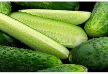 EVO ŠTA ĆE SE DESITI AKO SVAKOG DANA POJEDETE PO JEDAN KRASTAVAC: Niste Ni Svjesni Šta Radite Organizmu