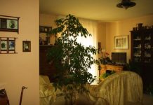 Kad mi je umro muž dala sam sinu cijelu kući i otišla u podstanare: To je bila najveća greška koju sam napravila u životu