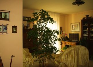 Kad mi je umro muž dala sam sinu cijelu kući i otišla u podstanare: To je bila najveća greška koju sam napravila u životu