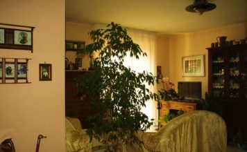 Kad mi je umro muž dala sam sinu cijelu kući i otišla u podstanare: To je bila najveća greška koju sam napravila u životu