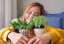 Praktični savjeti što s biljkama dok uživate na godišnjem odmoru