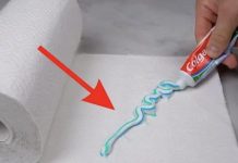 NANESITE pastu samo na papirnati ubrus i više nećete vidjeti ni komarce ni muhe!