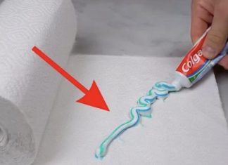 NANESITE pastu samo na papirnati ubrus i više nećete vidjeti ni komarce ni muhe!