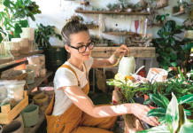 3 biljke koje se od pamtiveka smatraju najboljim za kuću: Teraju negativnu energiju, pročišćavaju vazduh i privlače novac