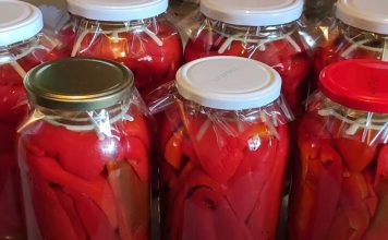 NE ZNATE ZA OVU MERU ZATO VAM PROPADA ZIMNICA! Ovo je tačna količina vode i sirćeta koja ide u zimnicu!! Domaćice pratite ovu meru i nećete pogriješit!!!!